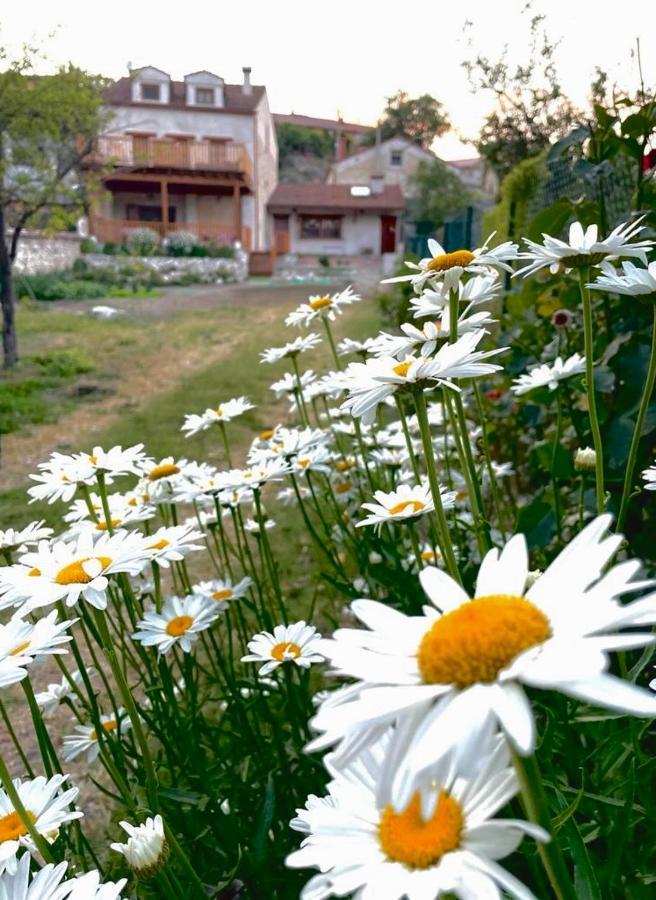 Alojamiento Gaia Aldeasona Zewnętrze zdjęcie